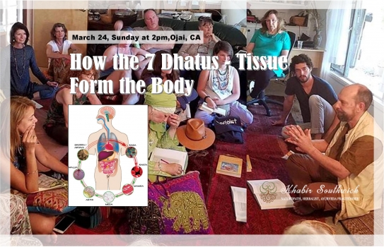 How the 7 Dhatus - Bodily Tissue - form the Body.