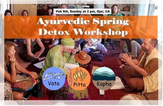 Ayurvedic Spring Detox Workshop