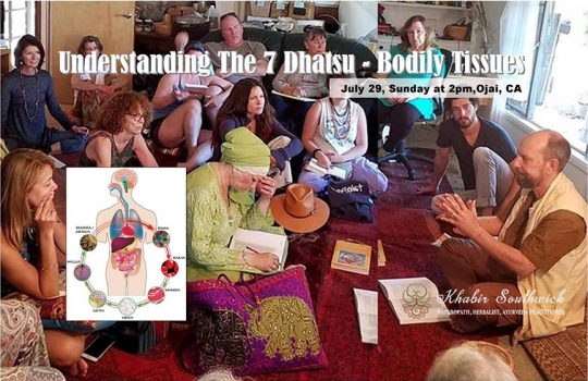 Understanding the 7 Dhatsu - Bodily tissues.
