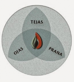 Understanding Prana, Tejas & Ojas: Your inner Energy, Fire & Immunity.