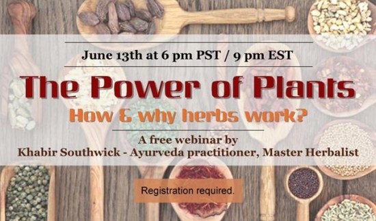 The power of plants - How & why herbal treatments work?