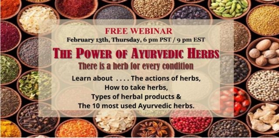 Webinar: The power of plants - How & why Ayurvedic herbal treatments work?