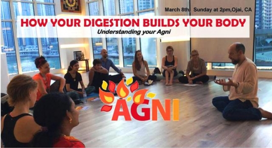 How Digestion Builds the Body - Understanding Agni.