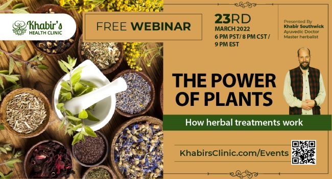 The power of plants - How herbal treatments work?