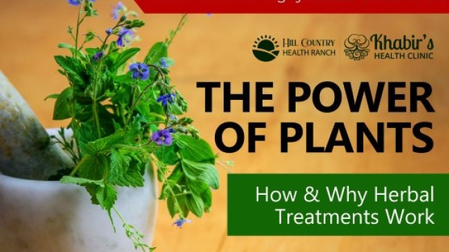 The power of plants - How & why herbal treatments work?