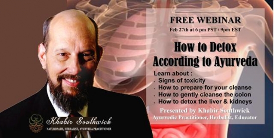 Webinar: How to Naturally Detox your Body according to Ayurveda